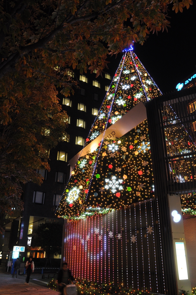 avex's Tree