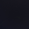 星空に求愛の光