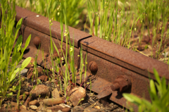 Rusted rail