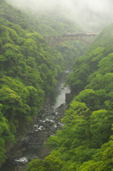 春雨のアーチ橋