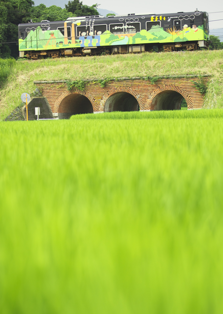田々の向こうに山々