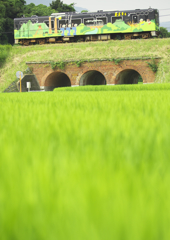 田々の向こうに山々