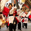 高知 よさこい祭り 2012