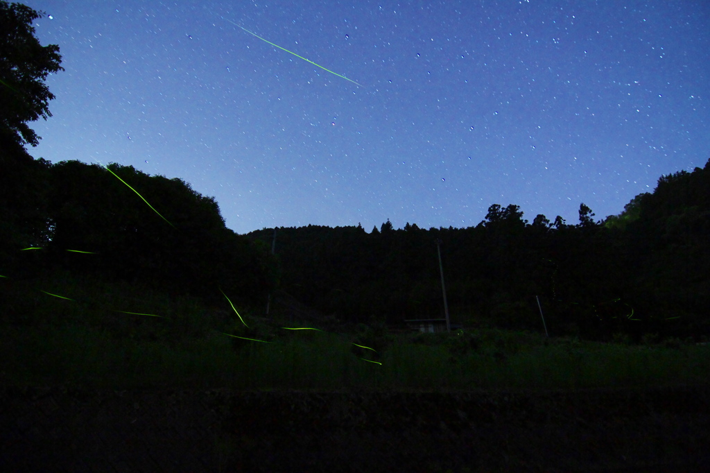 黄緑の線光