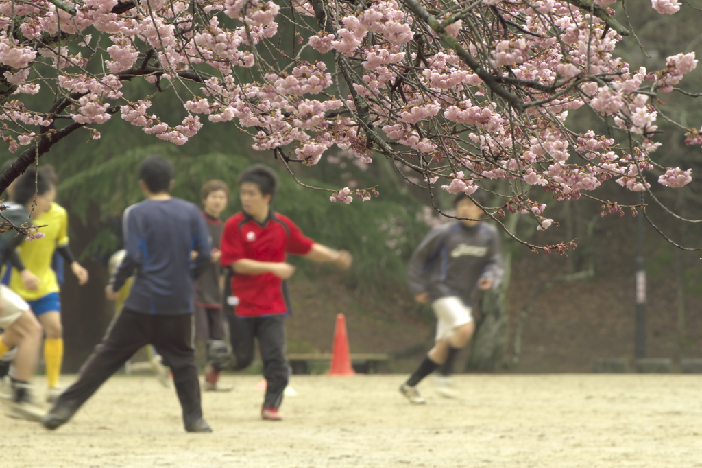 春先