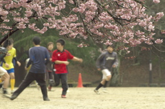 春先