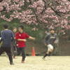 春先