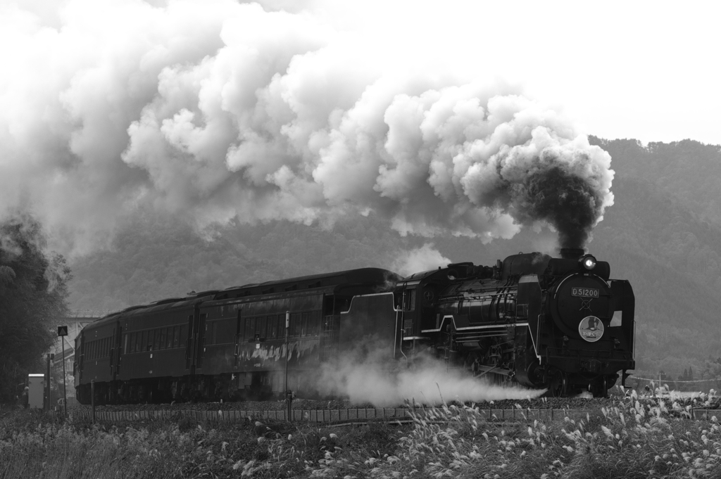 D51200