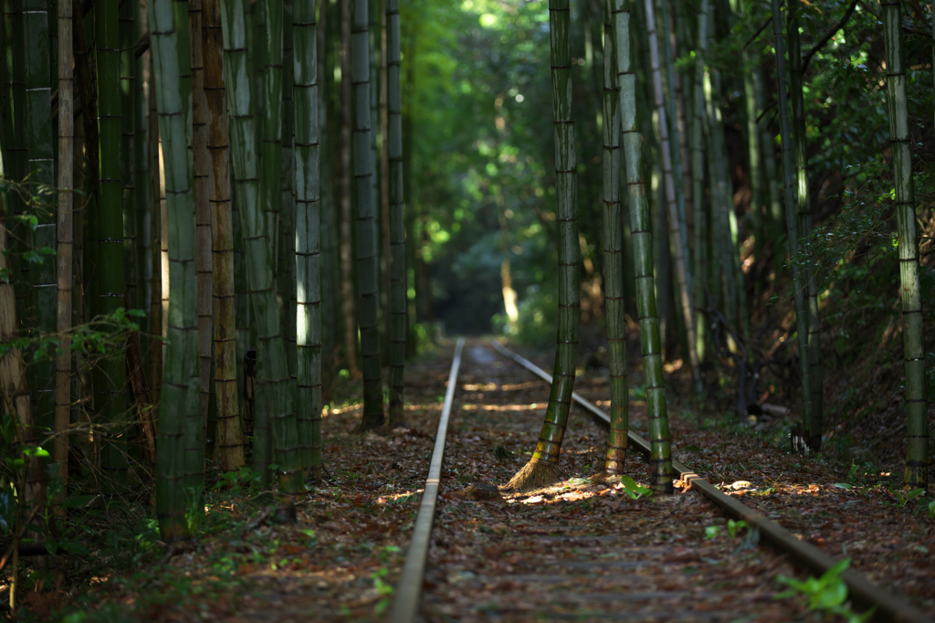 三本柱