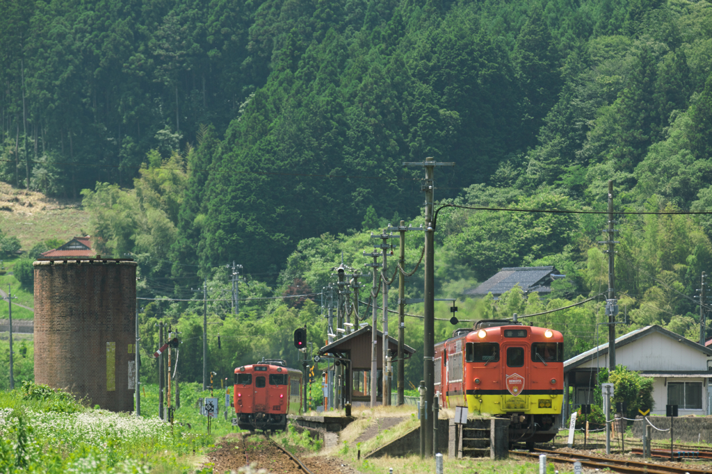 梅雨の一休み