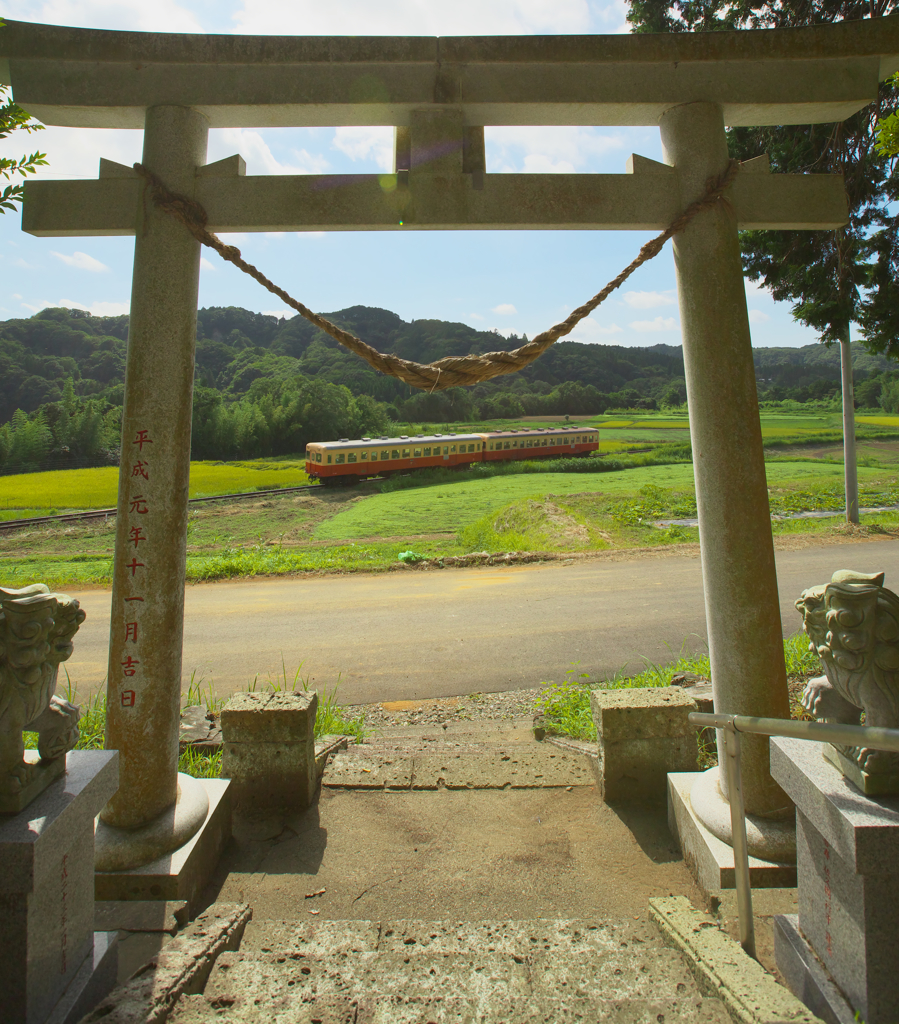 夏休みの記憶