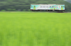 緑の香り