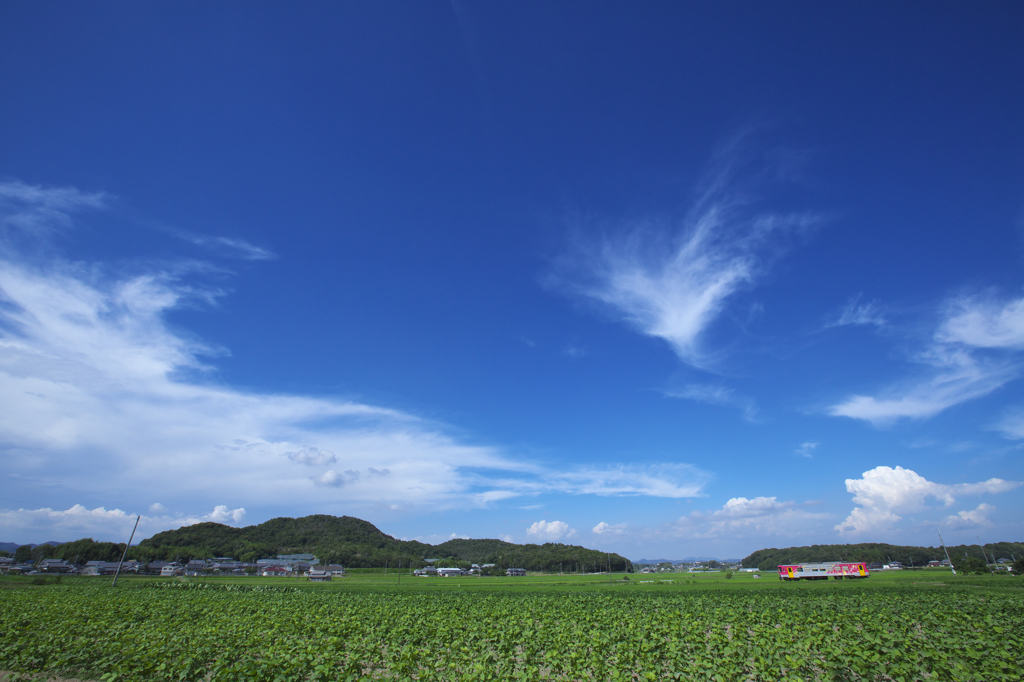 夏空のしたで