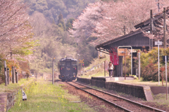 嘉例川駅の春