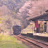 嘉例川駅の春