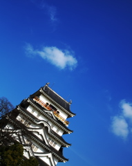 冬晴
