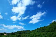 青空と単行