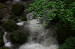 涼感