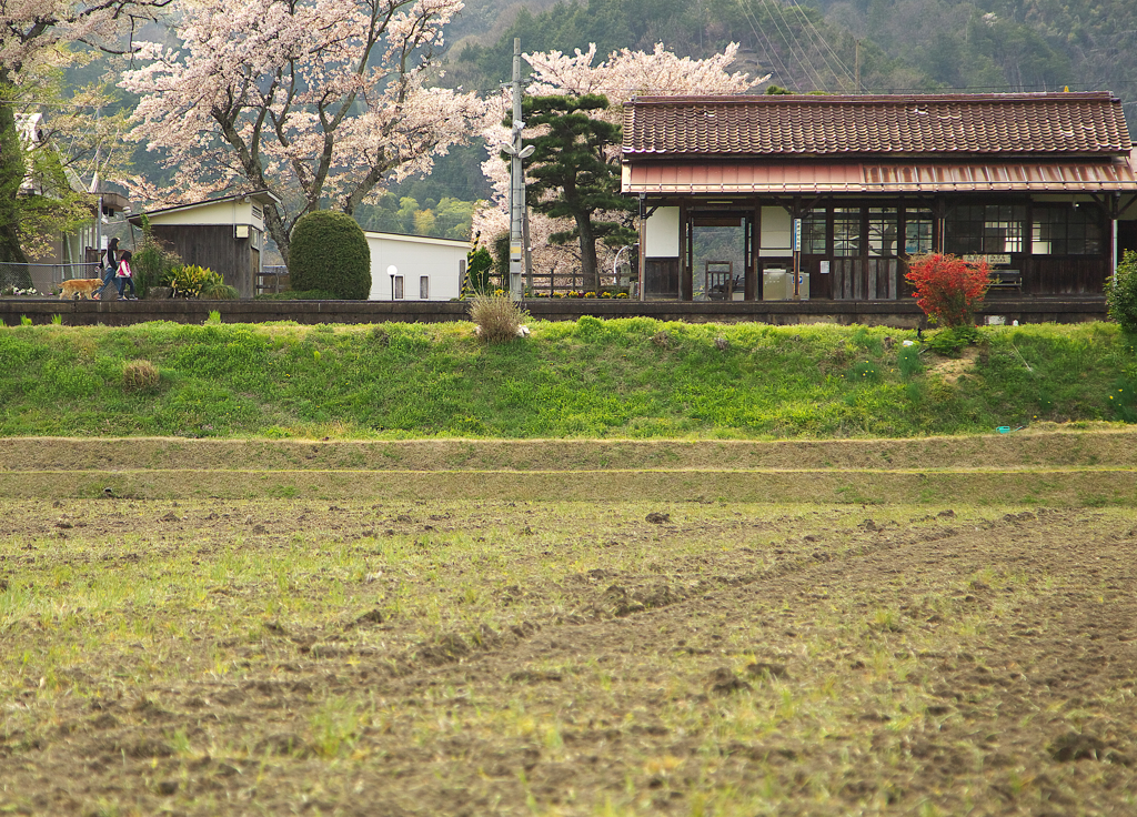 春さんぽ