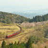 桜とスイッチバック