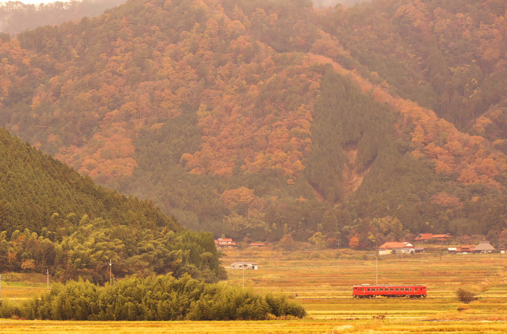 山陰の紅