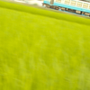 田んぼ沿線