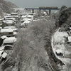 今年も白に染まる