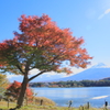 河口湖+紅葉