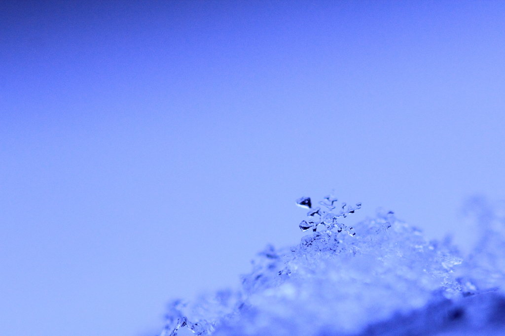 SNOW CRYSTAL
