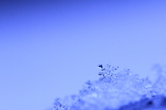 SNOW CRYSTAL