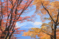 紅葉富士