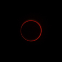 Golden RING