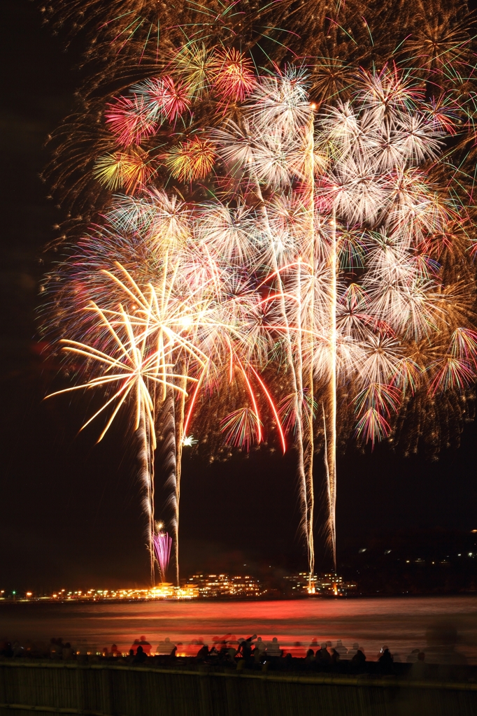 湘南の秋の夜空に咲く花