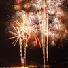 湘南の秋の夜空に咲く花