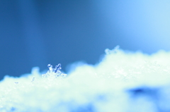 雪の結晶