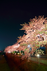 春の夜
