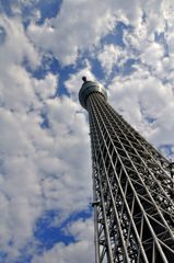 スカイツリーと秋の空