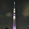 スカイツリーのある夜景