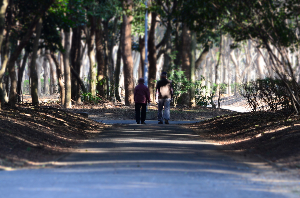 散歩道