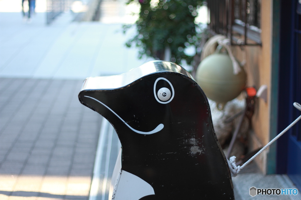 山下公園のペンギン
