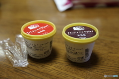 りすの森
