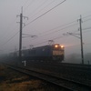霧の列車