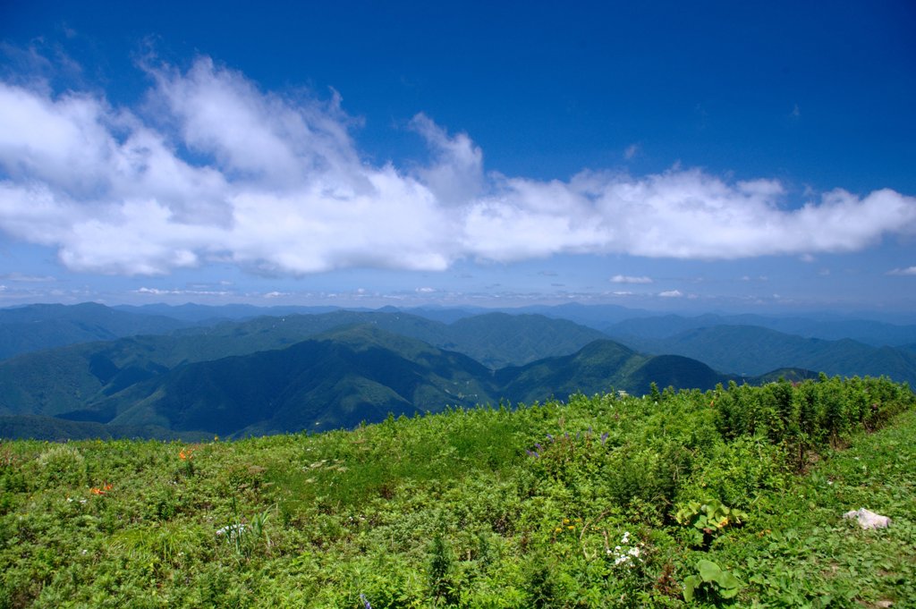 伊吹山山頂より