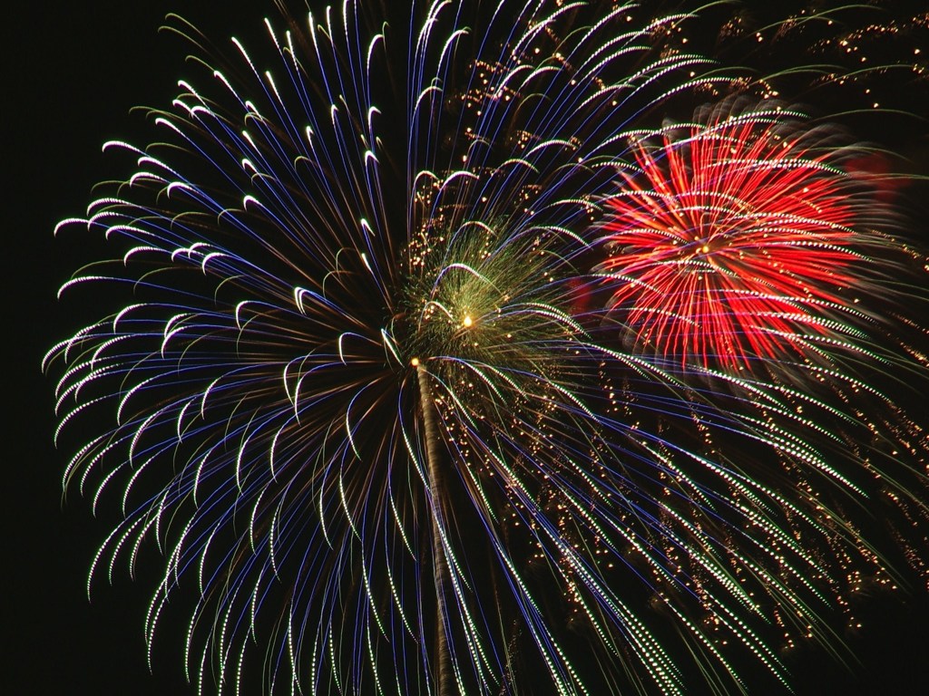 紅一点