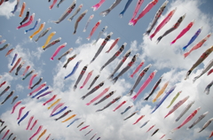 鯉の泳ぐ空