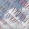 鯉の泳ぐ空
