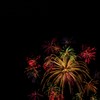 闇夜の花