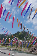 空中遊泳