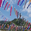 空中遊泳