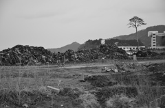 陸前高田・奇跡の松